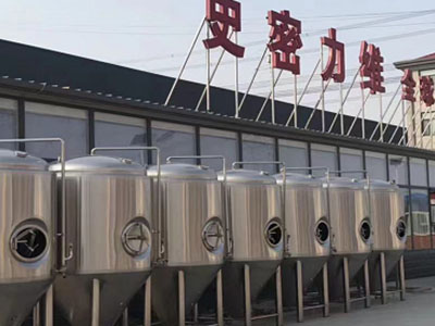 阳西精酿啤酒设备厂—如何判断精酿啤酒设备的密封件需要更换？